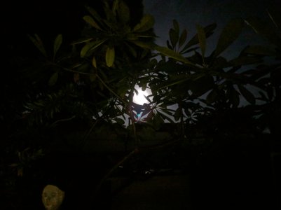 MVIMG_20181122_183622.jpg