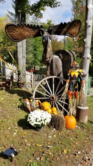 IMG_20181006_181848.jpg