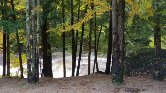 IMG_20181003_145234.jpg