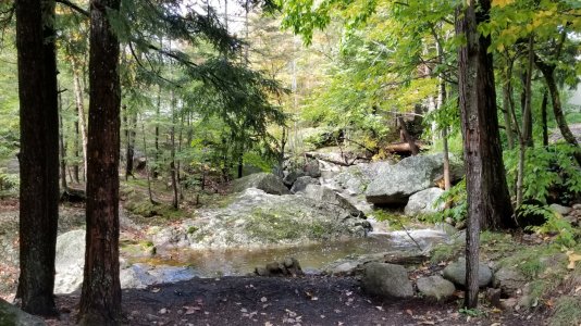 IMG_20181003_145358.jpg