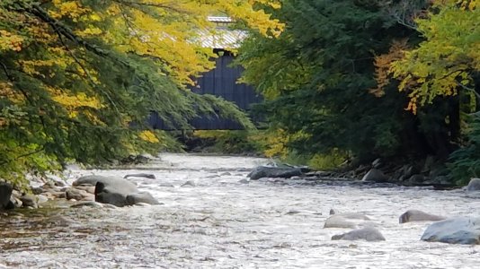 IMG_20181003_145800.jpg