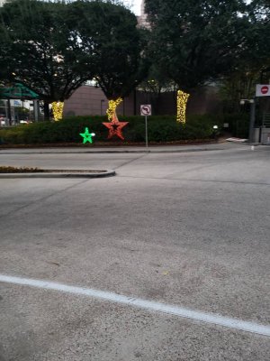 20181124_065553.jpeg