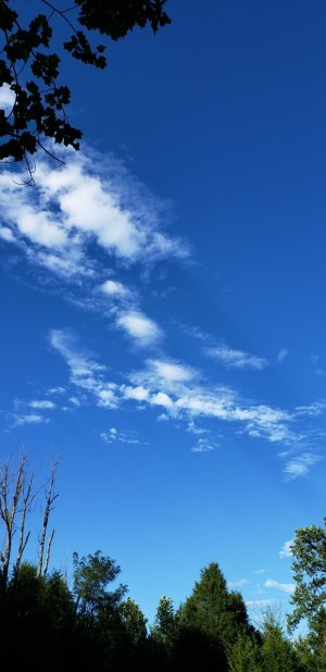 20180901_182538-01.jpg