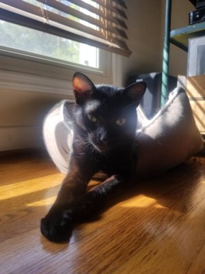 Attach9809_20181008_110657.jpeg