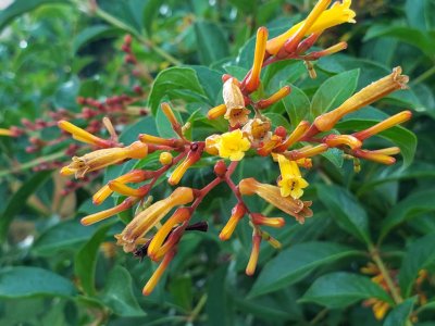 20180902_074916.jpg