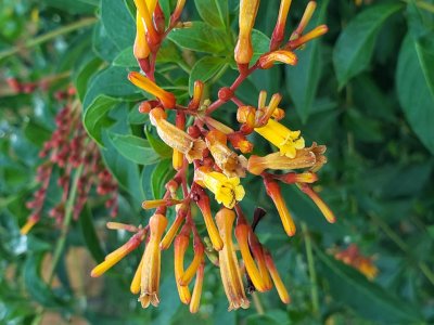 20180902_074056.jpg