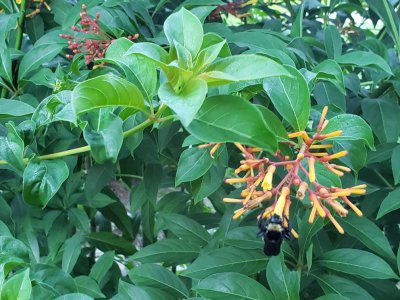 20180902_074211.jpg