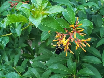 20180902_074210.jpg