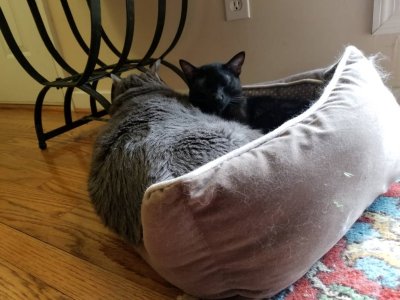 20180901_125005.jpg