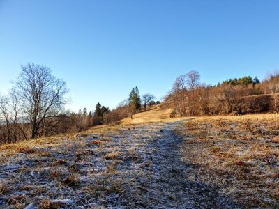 20181120_124748.jpeg