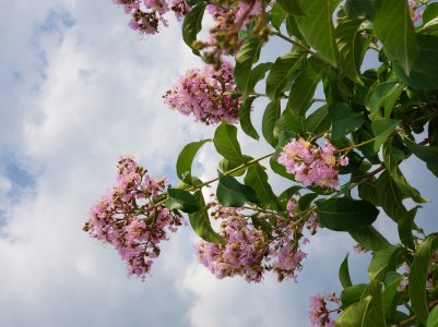 20180810_171132.jpg