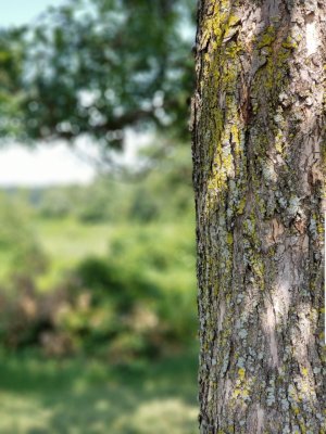 20180902_235750.jpg