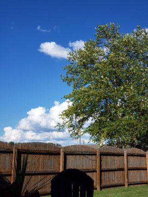 20180903_164539.jpg