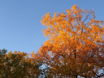 20181011_180053.jpeg