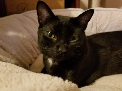 20181012_170758.jpeg