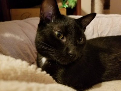 20181012_170822.jpeg