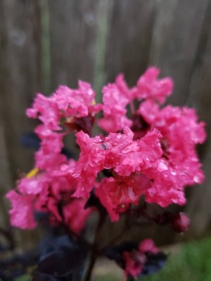 20180903_125312.jpg