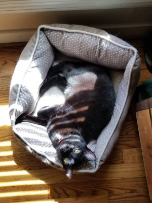 20181012_133422.jpeg