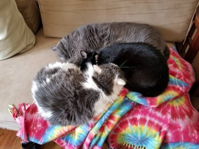 20181129_134758.jpeg