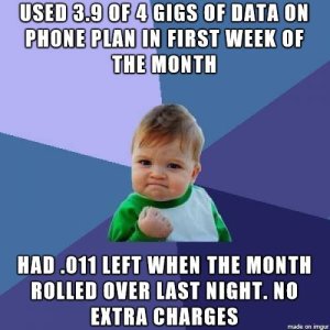 19982.jpg