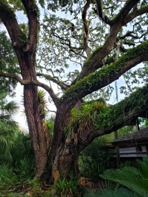 20180904_190704.jpg