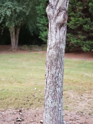 20180905_180204.jpg