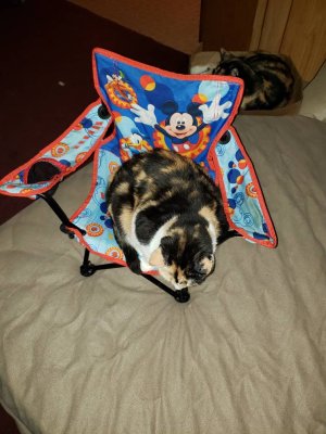 20181014_044341.jpeg