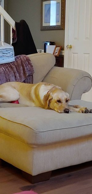 20181202_130610.jpeg