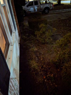Night Sight.jpg