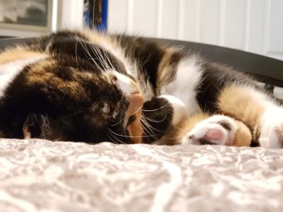 20180906_160122.jpg