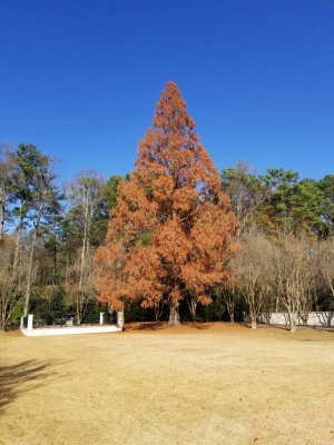 20181202_145038.jpeg