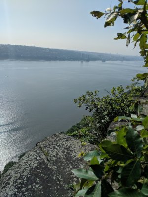 IMG_20180829_101805.jpg