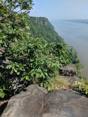 IMG_20180829_104133.jpg