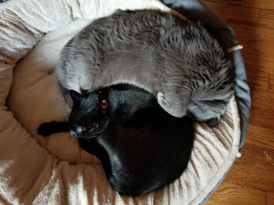 20181014_163253.jpeg
