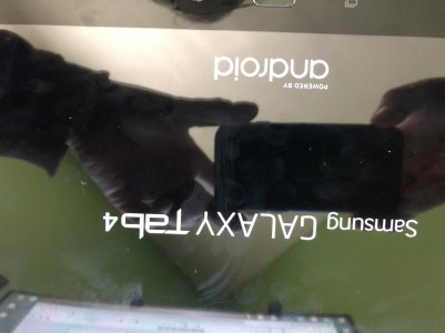 2018-10-15 12.45.41.jpg