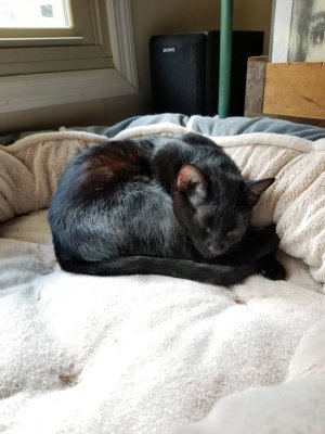 20180903_122430.jpg