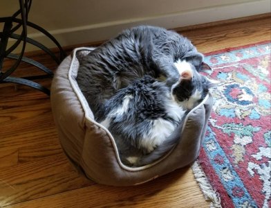 20180902_161049.jpg