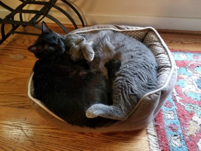 20180902_145613.jpg