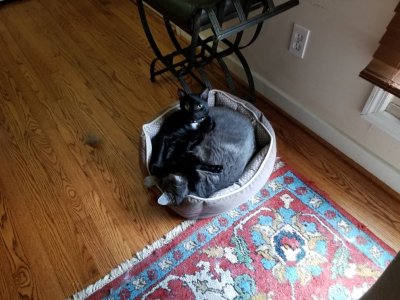 20180902_105439.jpg