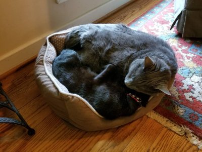 20180901_154925.jpg