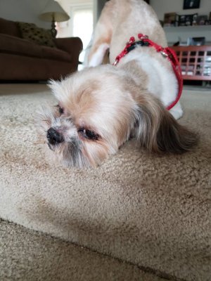 20181015_163712.jpeg