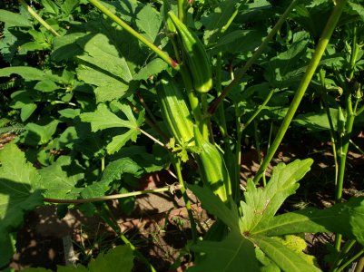 20180907_093614.jpg
