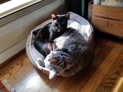20181205_120929.jpeg