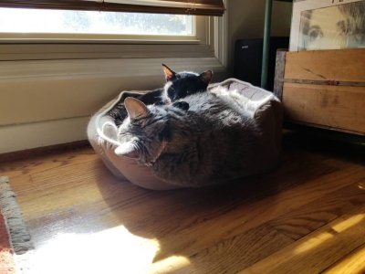 20181205_120744.jpeg
