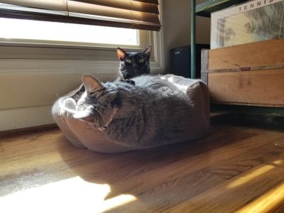 20181205_120824.jpeg