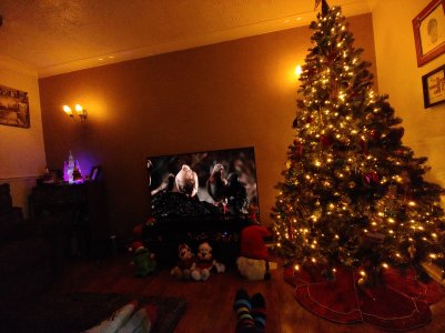 20181202_154412.jpg