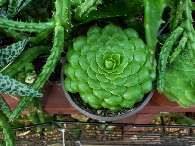 20180907_094416.jpg