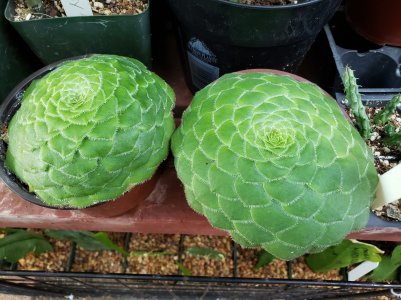 20180907_094344.jpg