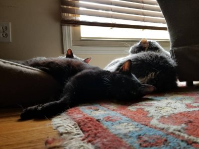 20180908_151933.jpg