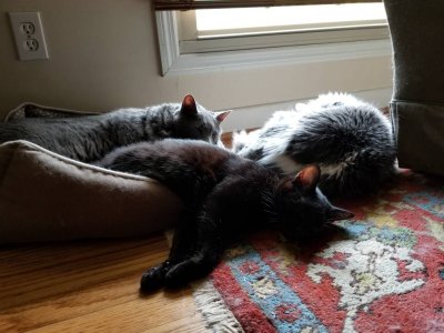 20180908_152011.jpg